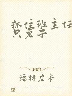 抓住班主任的两只兔子