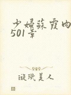 少妇苏霞肉欲第501章封面