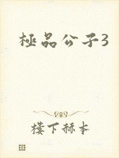 极品公子3