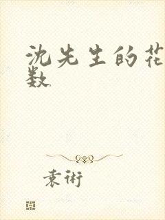 沈先生的花式调数