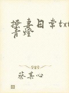 撩妻日常txt青灯