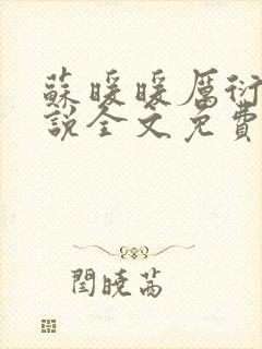 苏暖暖厉衍琛小说全文免费阅读封面