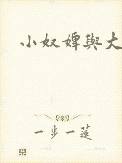 小奴婢与大少爷