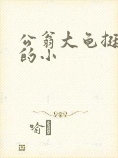 公翁大龟挺进我的小