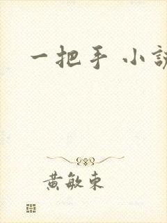 一把手 小说