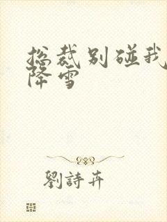 总裁别碰我 韩降雪