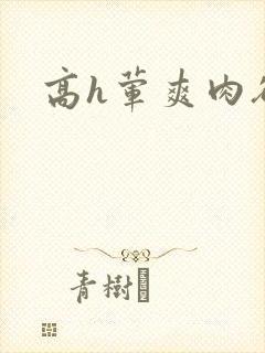 高h荤爽肉欲文