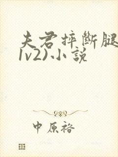 夫君摔断腿后(1v2)小说