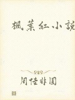 枫叶红小说封面