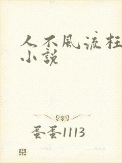 人不风流枉少年小说