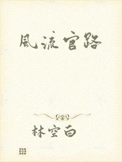 风流官路