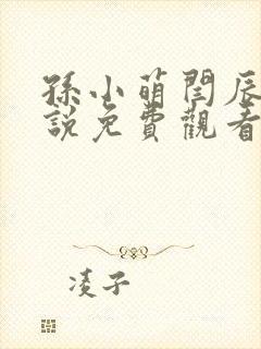 孙小萌闫辰的小说免费观看封面