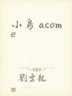 小鸟 acome封面
