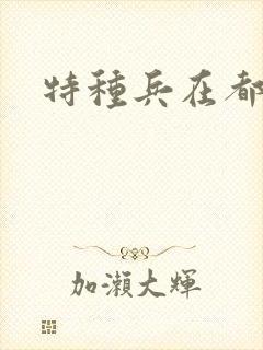 特种兵在都市封面