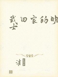 武田家的明国武士