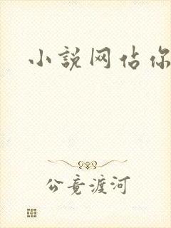 小说网站你懂的