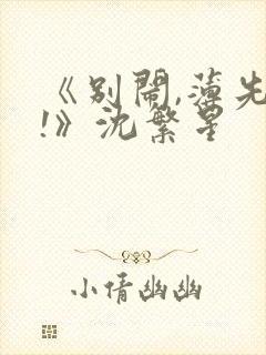 《别闹,薄先生!》沈繁星封面