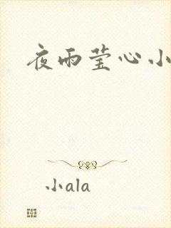 夜雨莹心小说