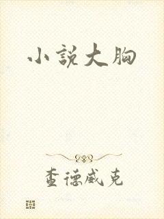 小说大胸封面