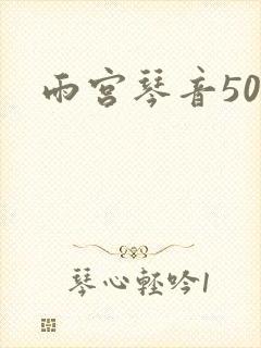 雨宫琴音500封面