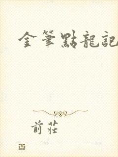 金笔点龙记封面