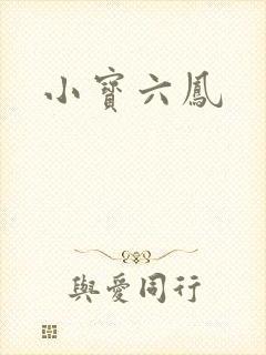 小宝六凤