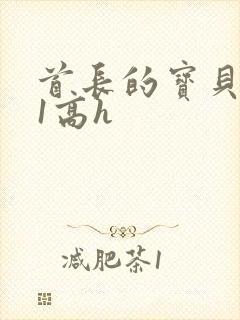 首长的宝贝1v1高h