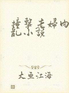 撞击老妇肉体之乱小说封面