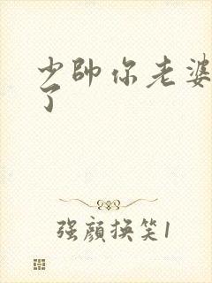 少帅你老婆又跑了