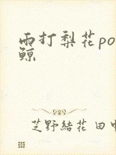 雨打梨花po问鲸