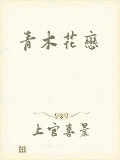 青木花恋封面
