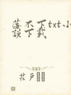 落不下txt小说下载