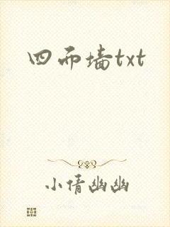 四面墙txt