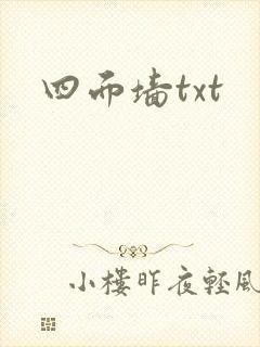 四面墙txt