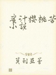 蜜汁樱桃苦咖啡小说