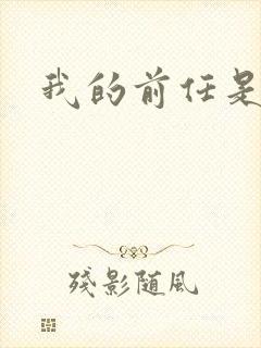 我的前任是极品