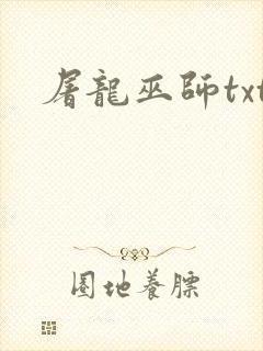 屠龙巫师txt