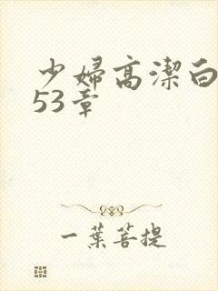 少妇高洁白义第53章封面