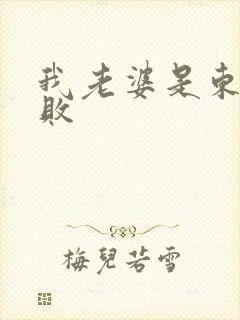 我老婆是东方不败