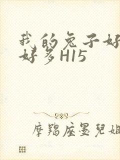 我的兔子好软水好多H15封面