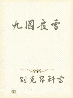 九国夜雪封面