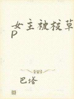 女主被校草们NP