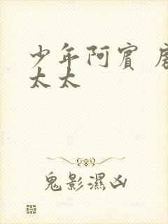 少年阿宾 房东太太