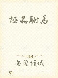 极品驸马