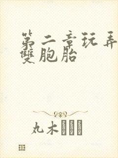 第二章玩弄少妇双胞胎封面