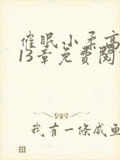 催眠小柔高达第13章免费阅读