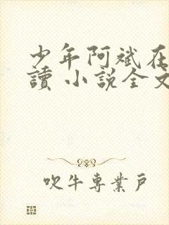 少年阿斌在线阅读 小说全文免费封面