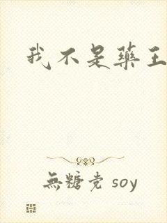 我不是药王封面