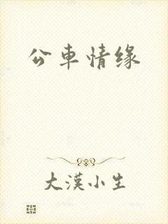 公车情缘