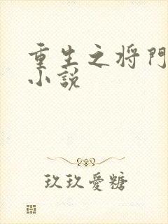 重生之将门毒后小说